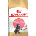 Royal Canin Main Coon Kitten